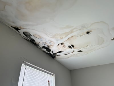 Temporary Roof Repairs: Can You Fix Leaks Yourself?